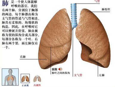 负离子可以有效预防和缓解肺癌